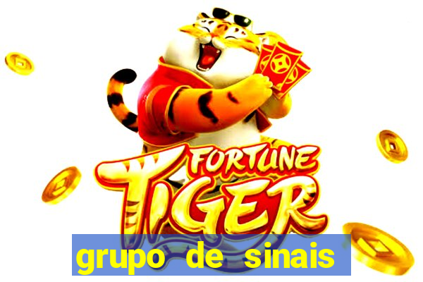 grupo de sinais fortune rabbit